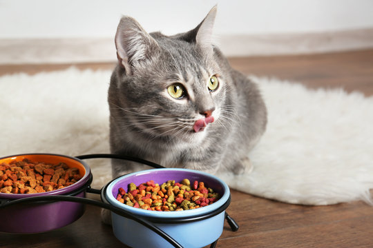Cat Products
